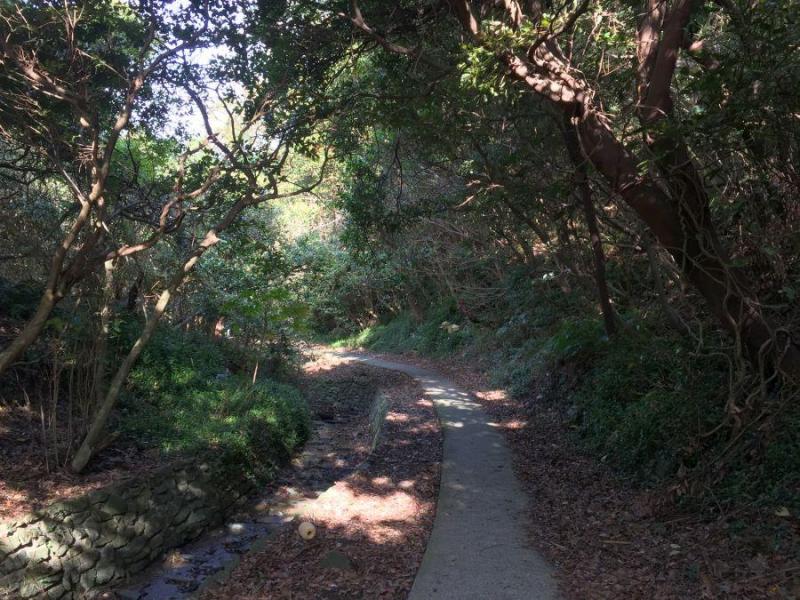 旧正野谷桟橋3