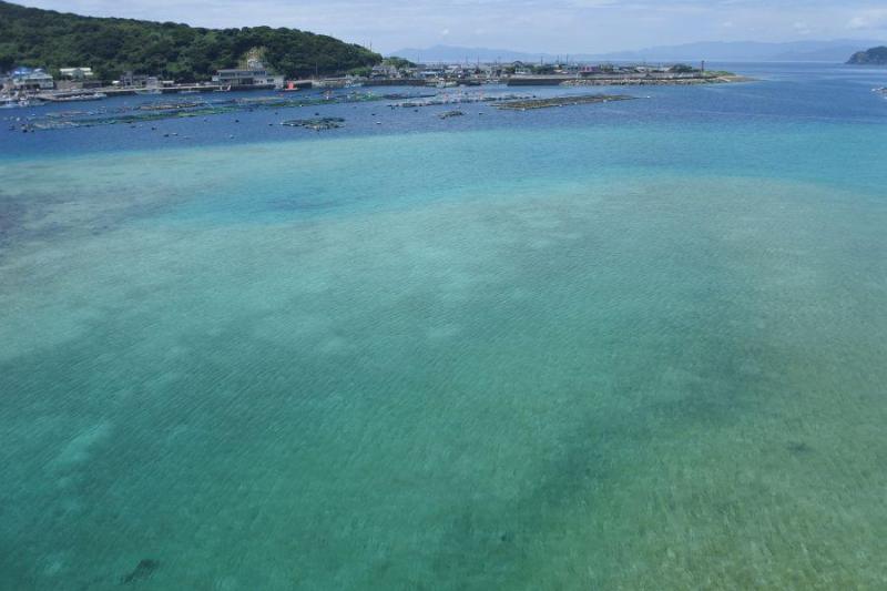 柏島3