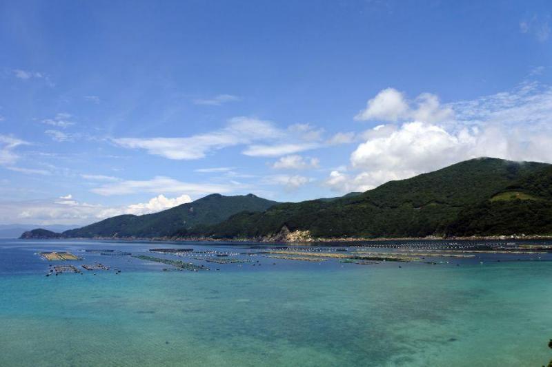 柏島5