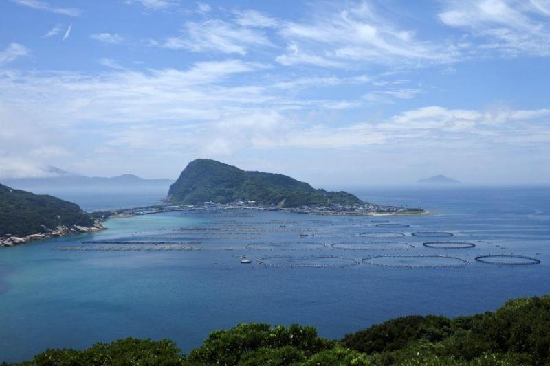 柏島6