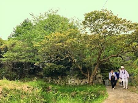 山川.jpg