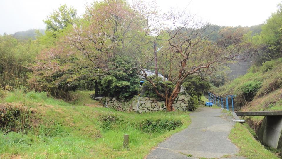 山川見えた.JPG