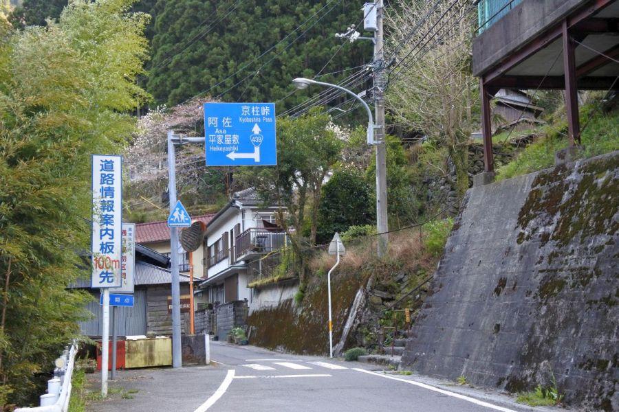 kyobashira003.jpg
