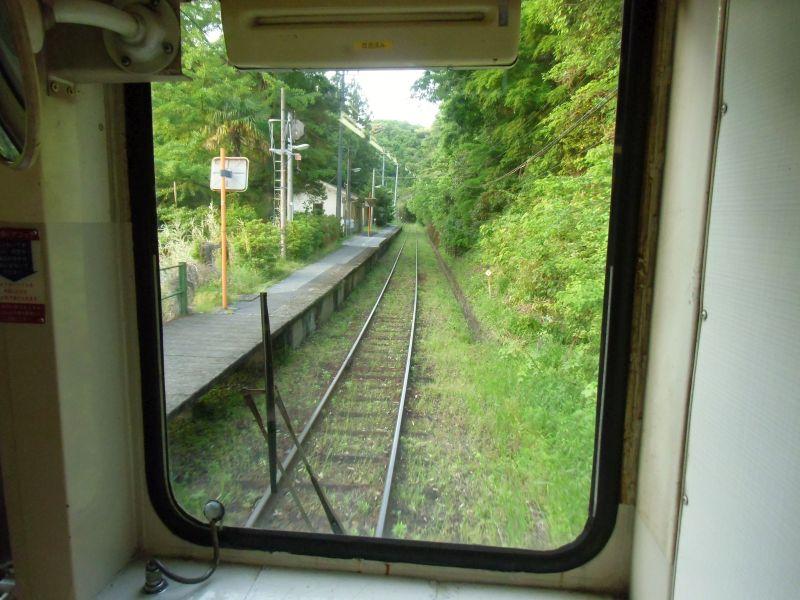 tosayama014.JPG