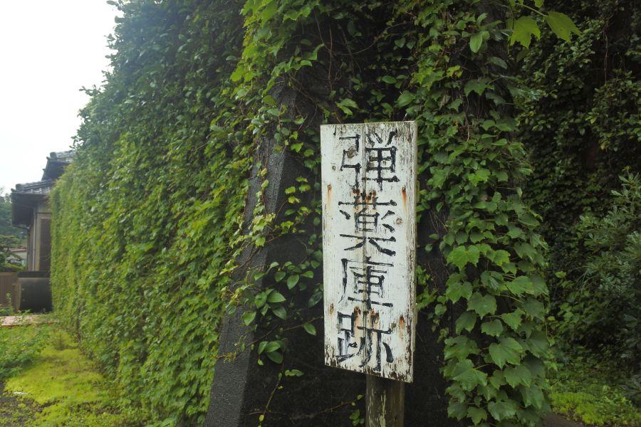 ususuki002.JPG