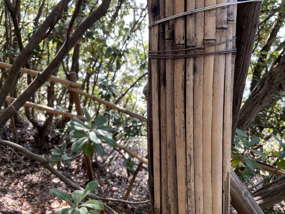 uv12_202212.jpeg
