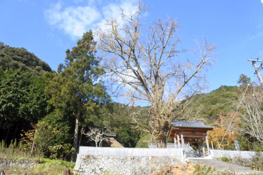 禅蔵寺3