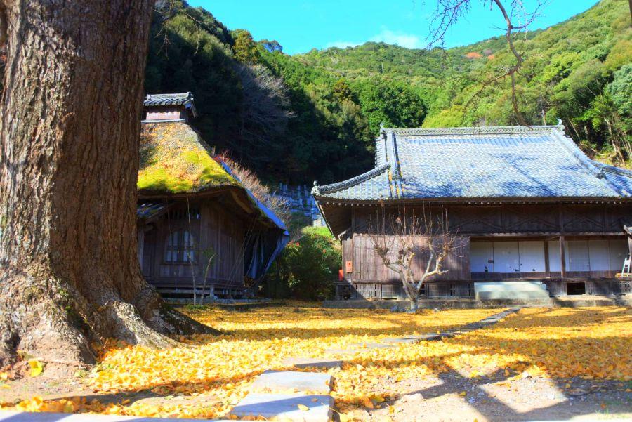 禅蔵寺5