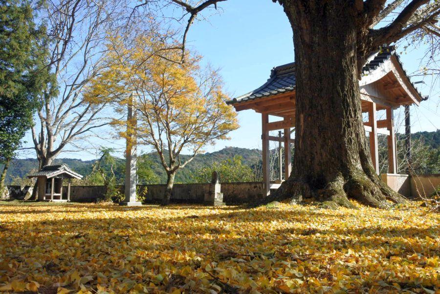 禅蔵寺8